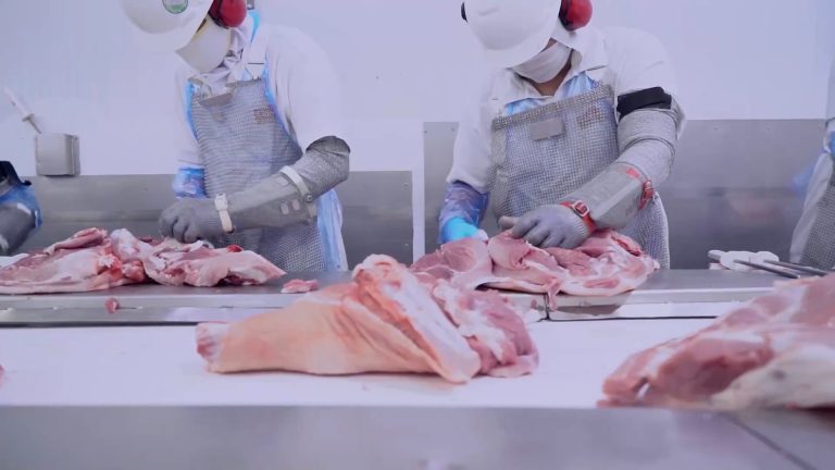01-EXPORTAÇOES CARNE