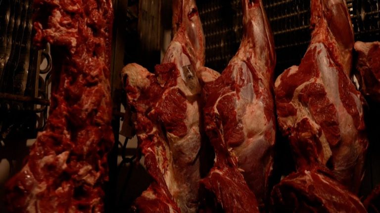 Miniatura do vídeo: CNA pede à UE investigação sobre boicote à carne brasileira