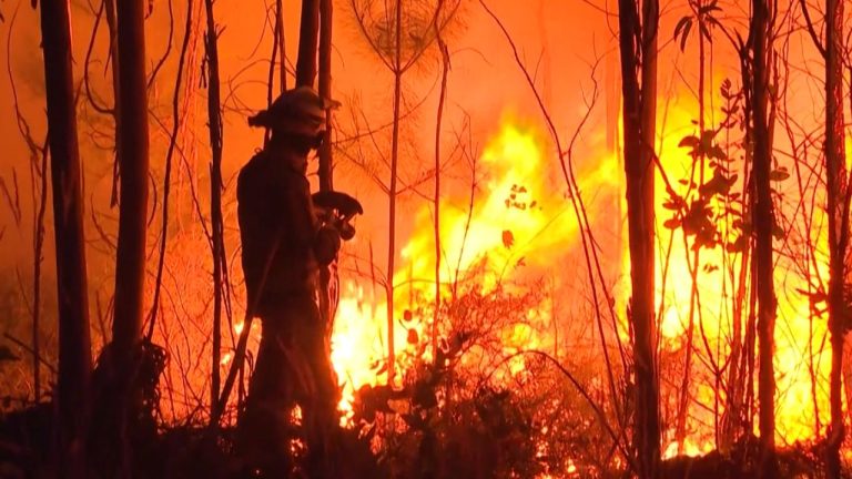 07- INCÊNDIOS PORTUGAL