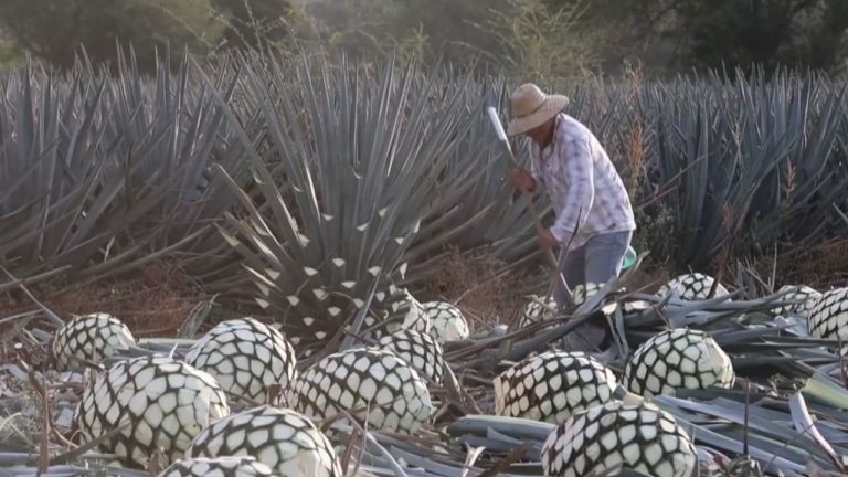 06- TARIFAS MÉXICO