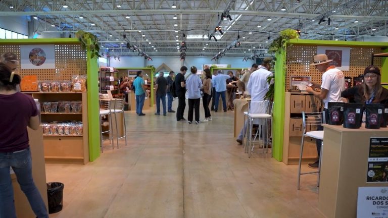 10- FEIRA SABORES PR