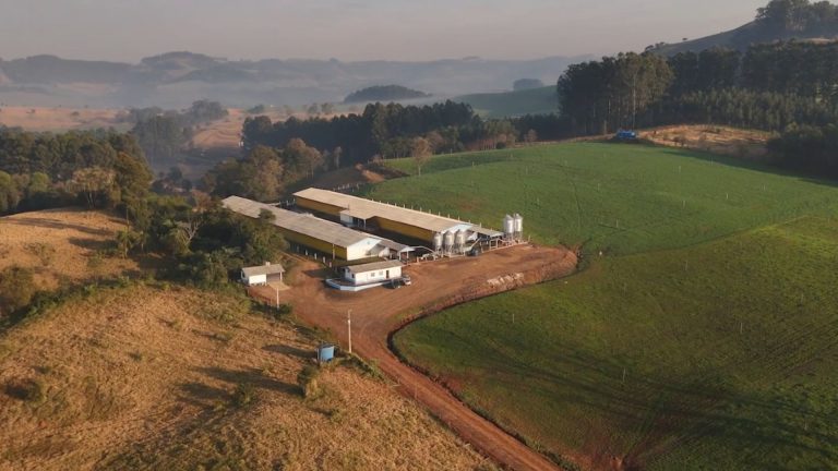 03- AGRONEGÓCIO SC
