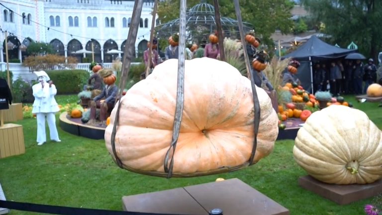 09- ABÓBORA GIGANTE