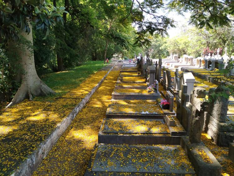 200416_Saimon_Romero_SMS_PMPA-01_0