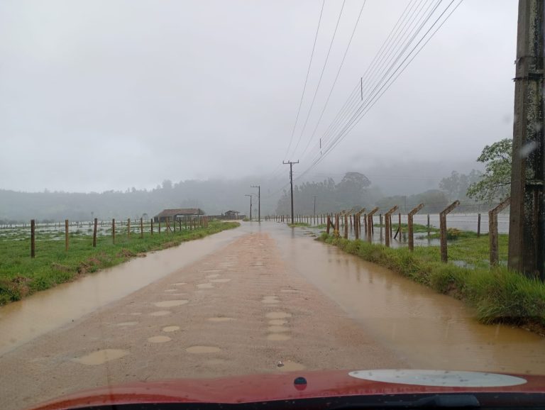 WhatsApp Image 2025-10-29 at 11.16