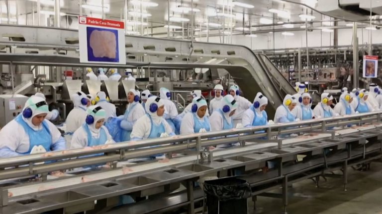 01- DESEMPREGO BRASIL