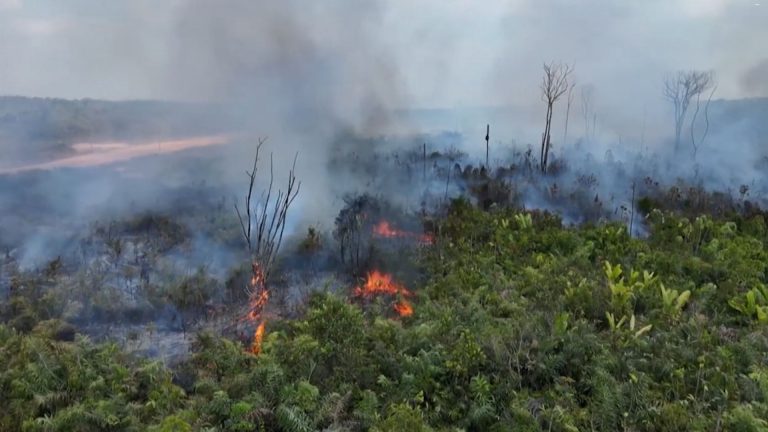 03- DESMATAMENTO AMAZÔNIA LEGAL