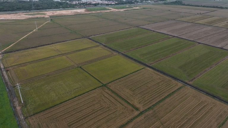 04- EMPREGO NO CAMPO SC