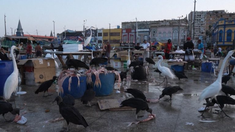 06- EXPECTATIVA COP30