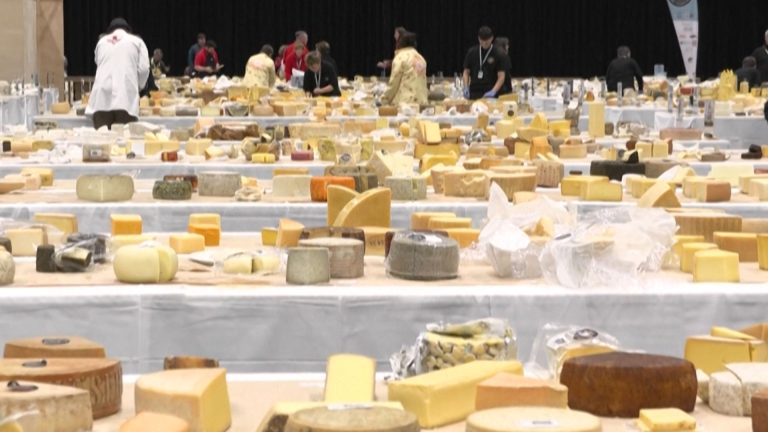 08- CAMPEONATO DE QUEIJOS