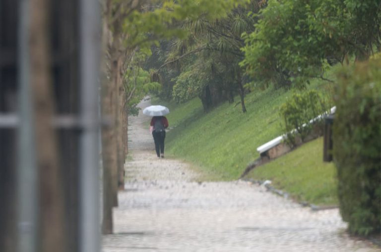 whatsapp_image_2025-10-27_at_11.37