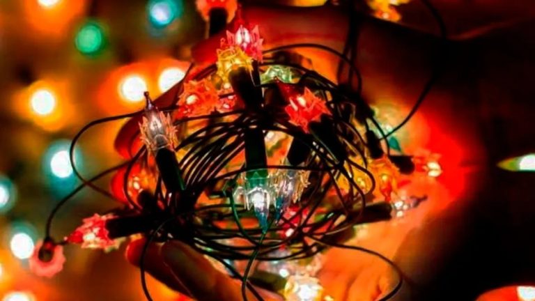 WhatsApp-Image-2025-11-11-at-13.56