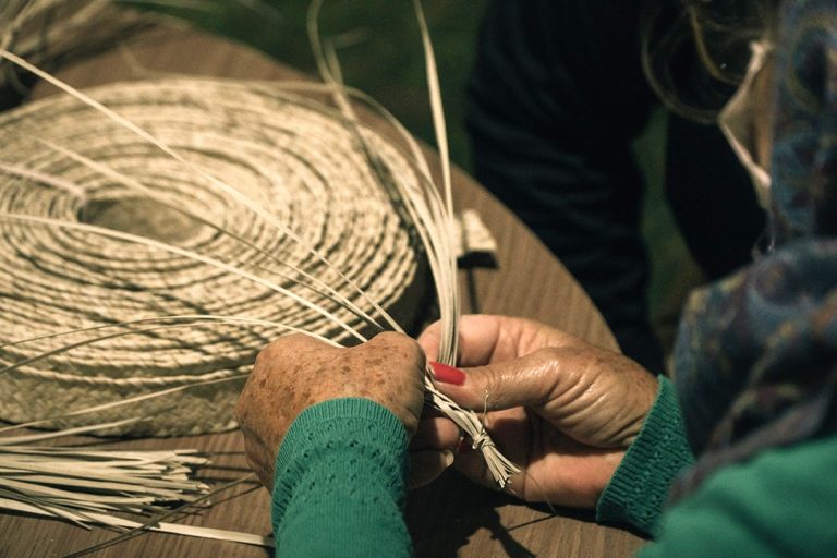 WhatsApp Image 2025-11-13 at 10.09