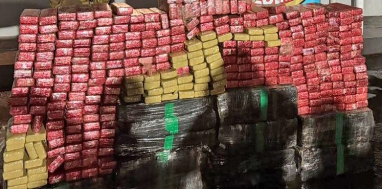 WhatsApp Image 2025-11-18 at 12.14