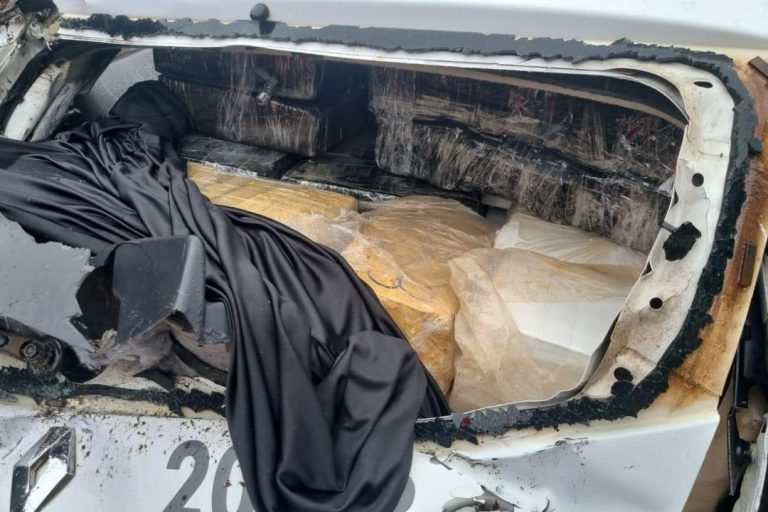 whatsapp_image_2025-11-25_at_07.46