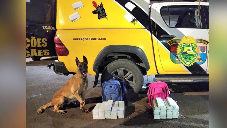 01- OPERAÇÃO PE ESTADOS