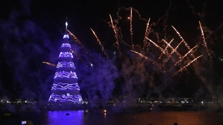 10- ÁRVORE NATAL RJ