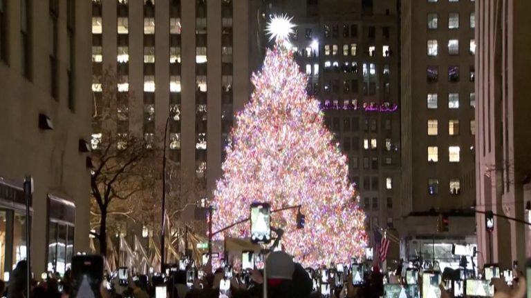 13- ARVORE NATAL EUA