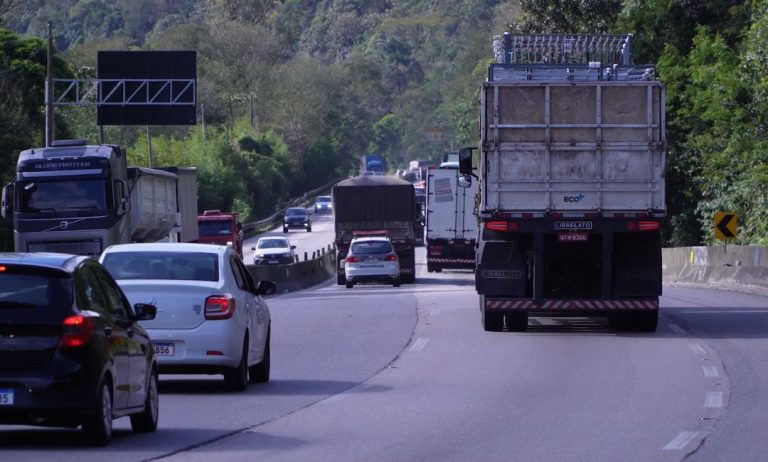 MOVIMENTAÇÃO BRS SC