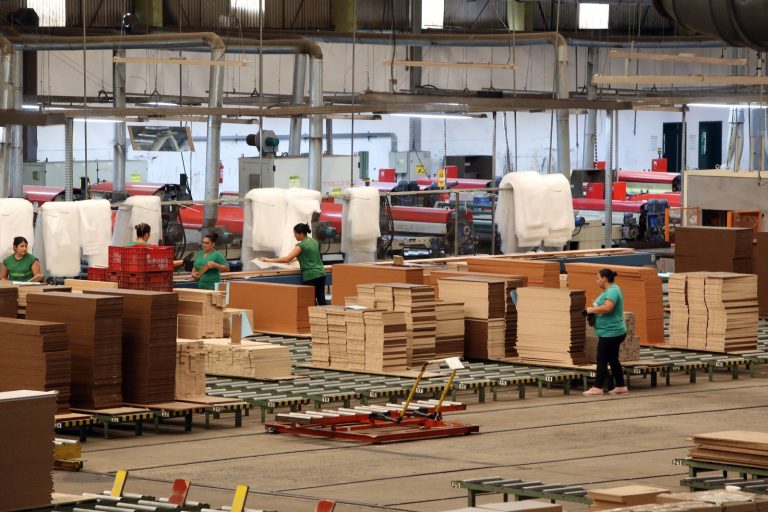 WhatsApp Image 2025-12-15 at 10.28