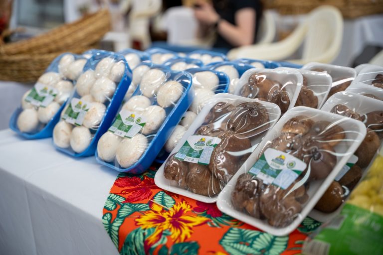 WhatsApp Image 2025-12-17 at 13.38