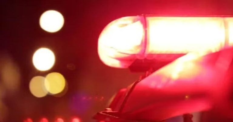 WhatsApp Image 2026-01-02 at 12.31