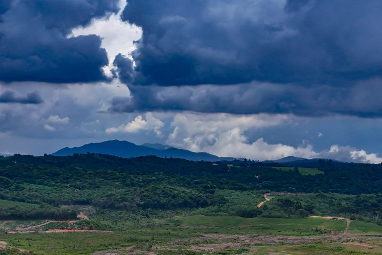 WhatsApp Image 2026-01-08 at 16.08