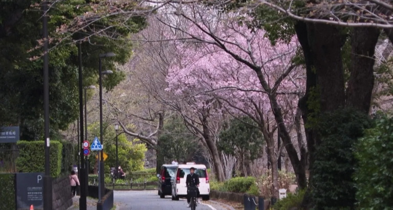 Captura de tela 2026-03-26 161119