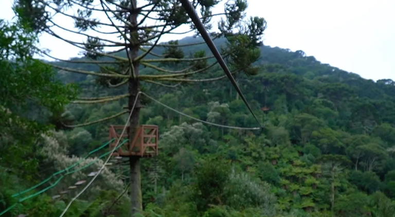 Captura de tela 2026-03-26 161250