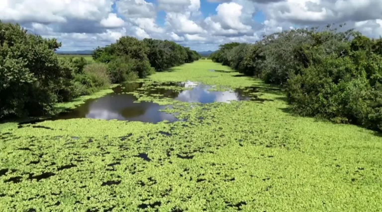 Captura de tela 2026-03-26 164652