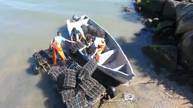 Captura de tela 2026-04-20 144230