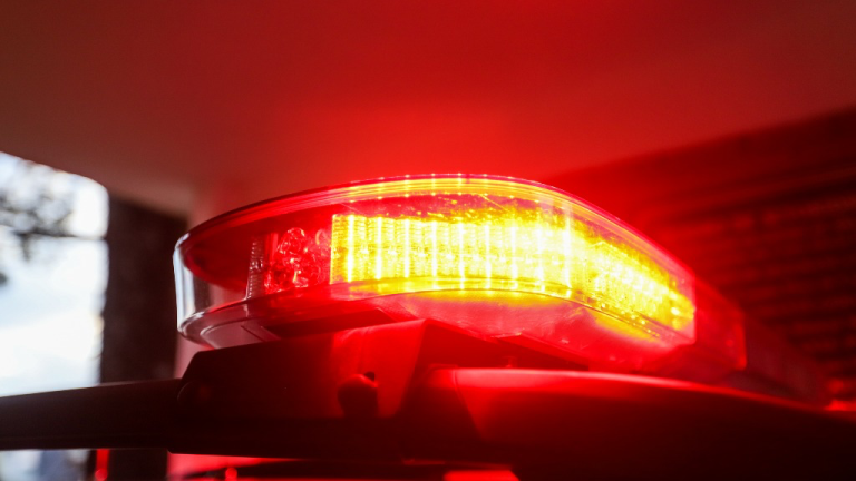 Reprodução acidadeon