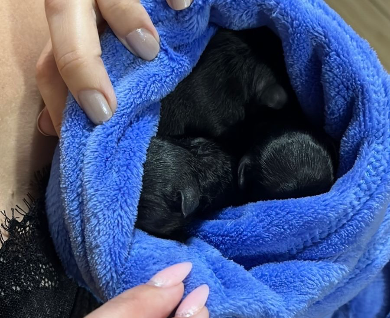 Foto: Arquivo Pessoal