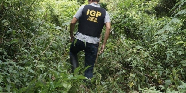  IGP-SC