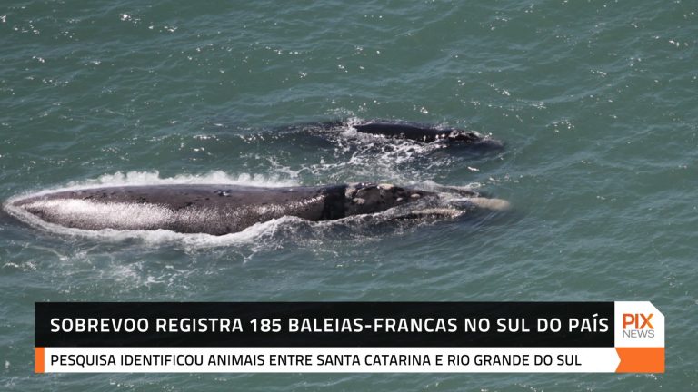 06 LITORAL BALEIISTICO