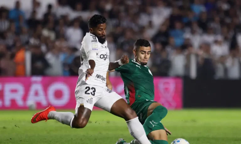 palmeiras_brasileirao