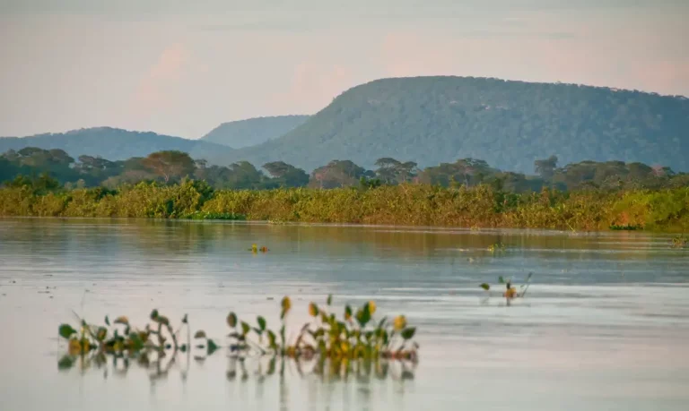 parque_nacional_parna_do_pantanal_matogrossense_divulgacao_icmbio